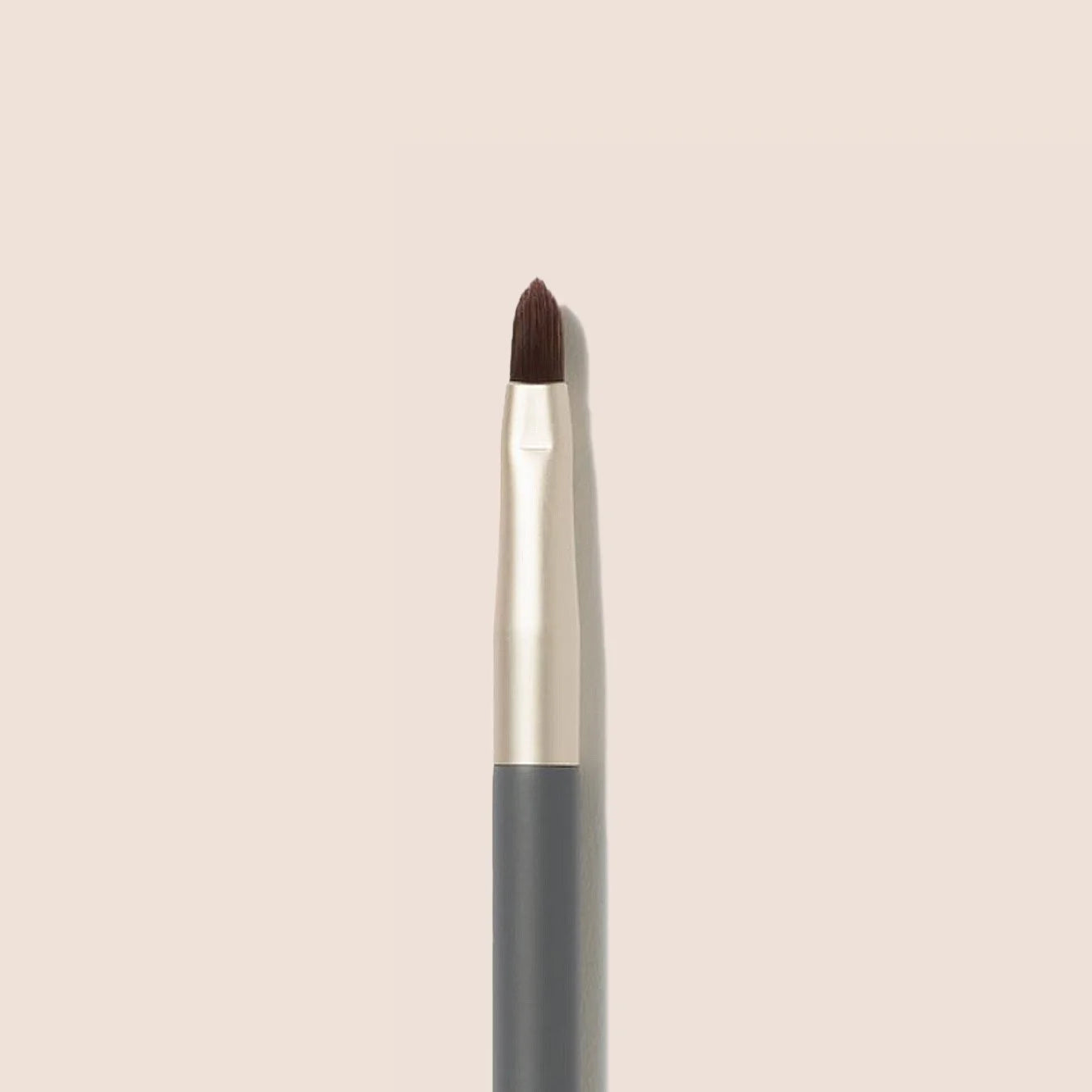 Lip Brush